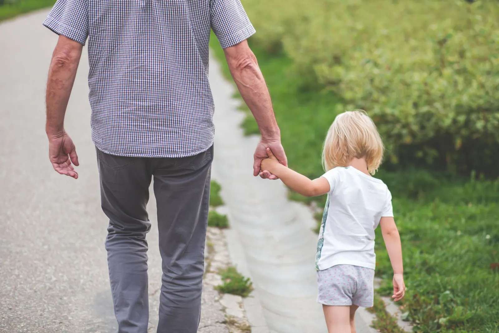 An older man in a checked shirt holds a small blonde child's hand on a path beside green bushes, both seen from behind